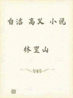 白洁 高义 小说